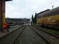 Hameln2013   014
